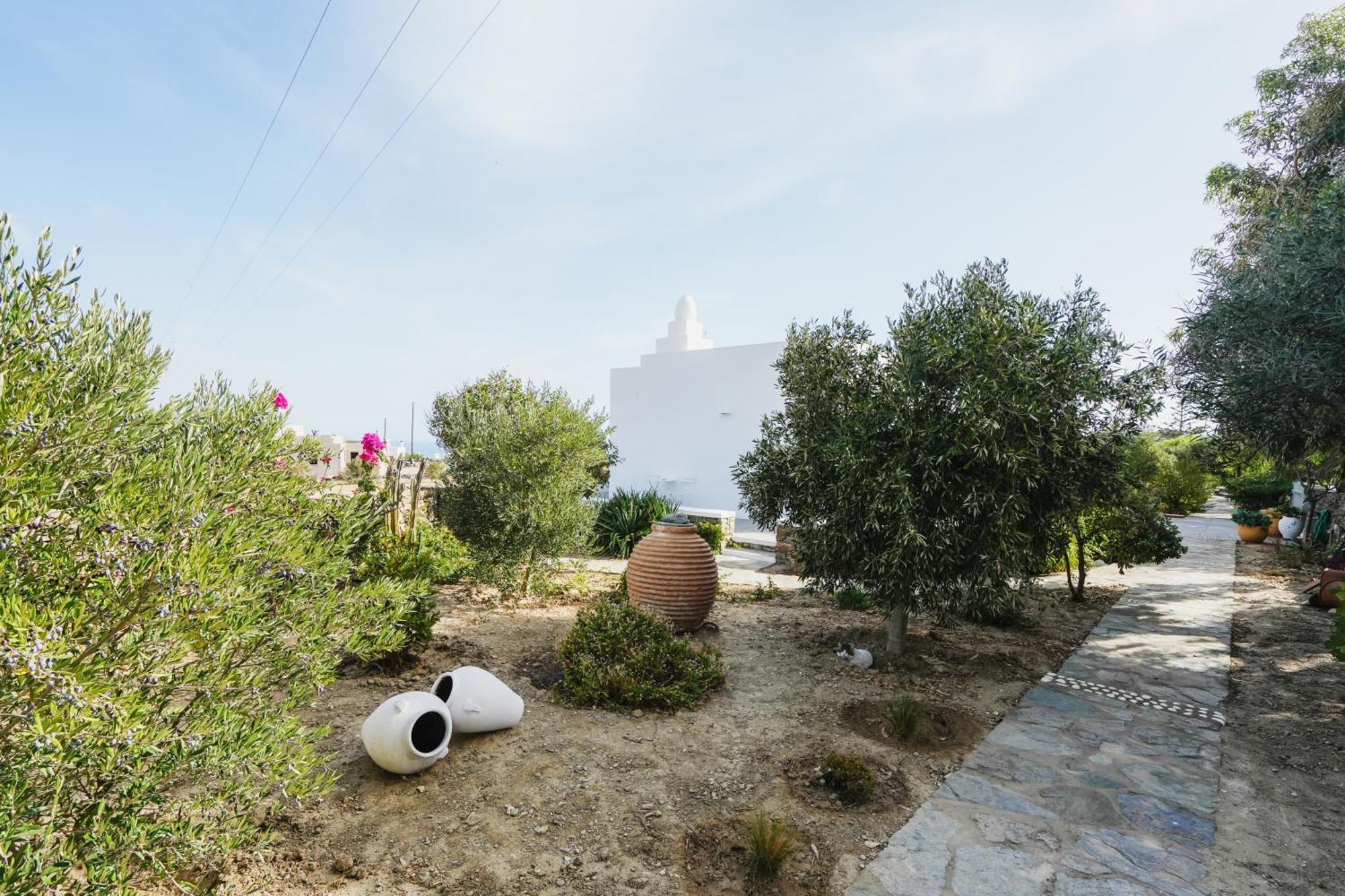 Villa Arades Sifnos With Private Pool 阿波罗尼亚 外观 照片