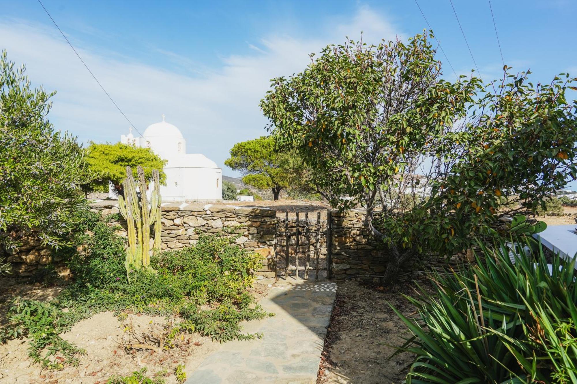 Villa Arades Sifnos With Private Pool 阿波罗尼亚 外观 照片