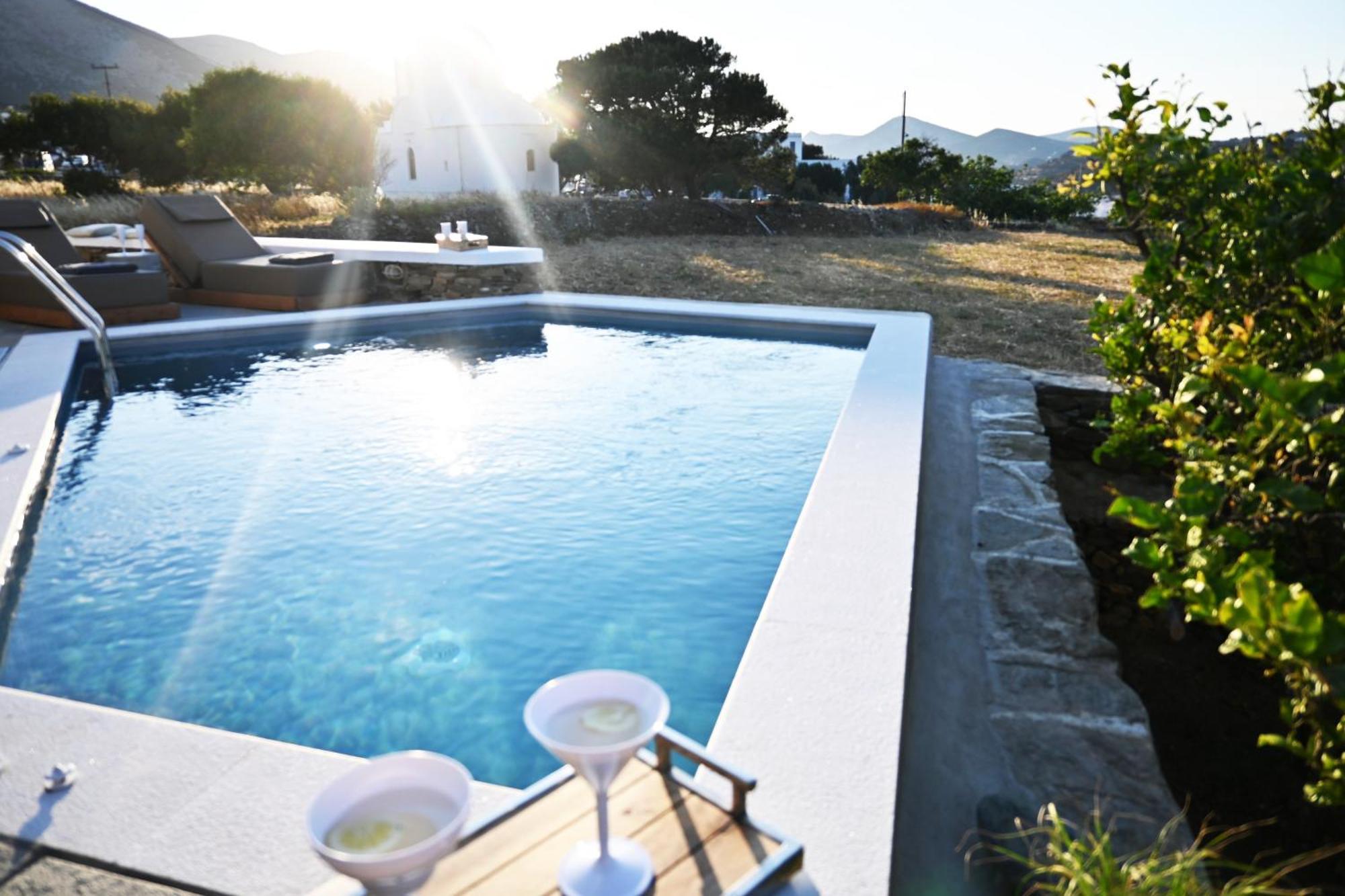 Villa Arades Sifnos With Private Pool 阿波罗尼亚 外观 照片